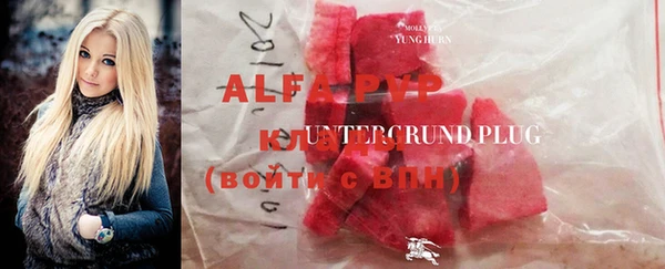 дмт Бородино
