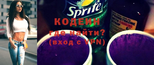 дмт Бородино