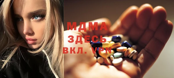 дмт Бородино
