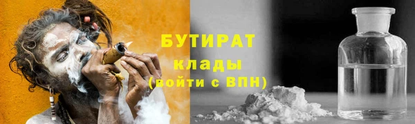дмт Бородино
