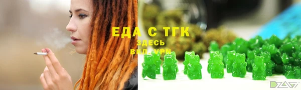дмт Бородино