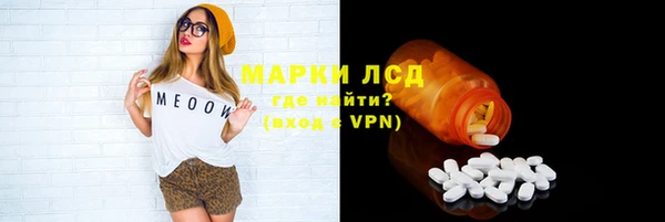 дмт Бородино