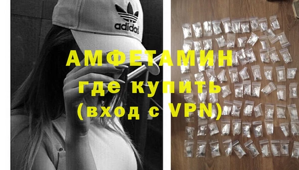 дмт Бородино
