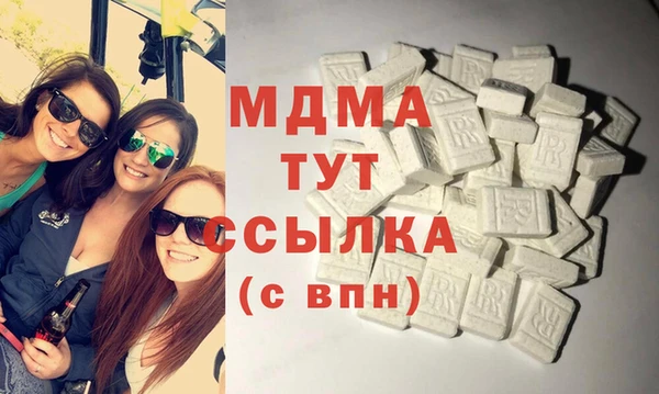 дмт Бородино