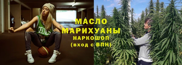 дмт Бородино