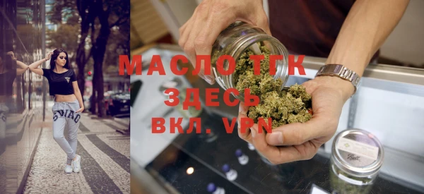 дмт Бородино