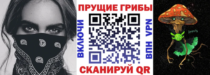 Галлюциногенные грибы мицелий  где можно купить   Выборг 