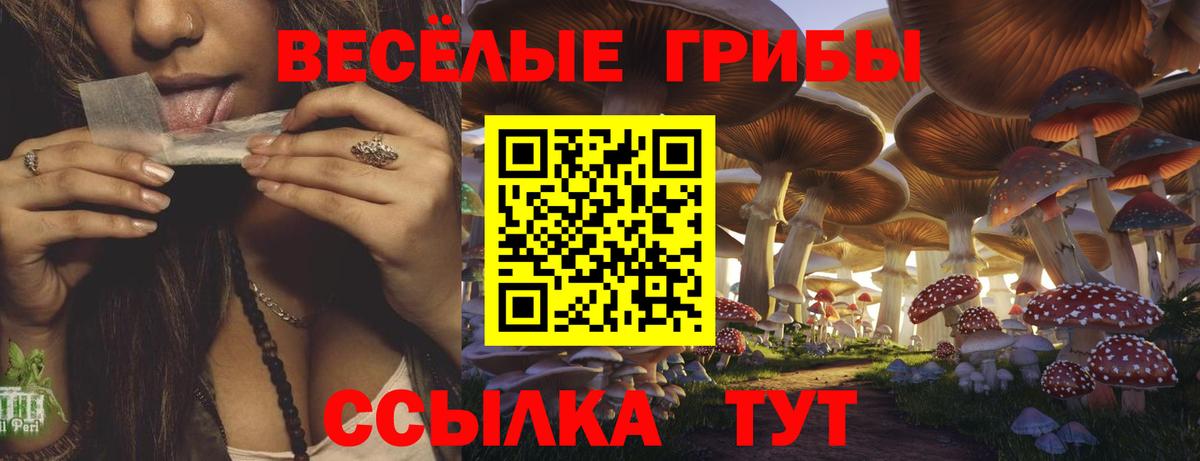 Псилоцибиновые грибы ЛСД Выборг