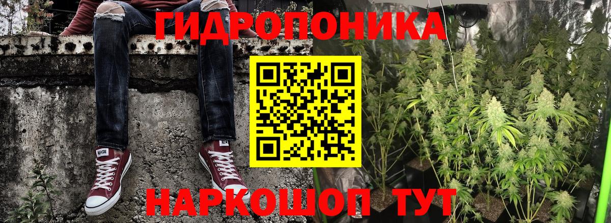 Канабис сатива Выборг